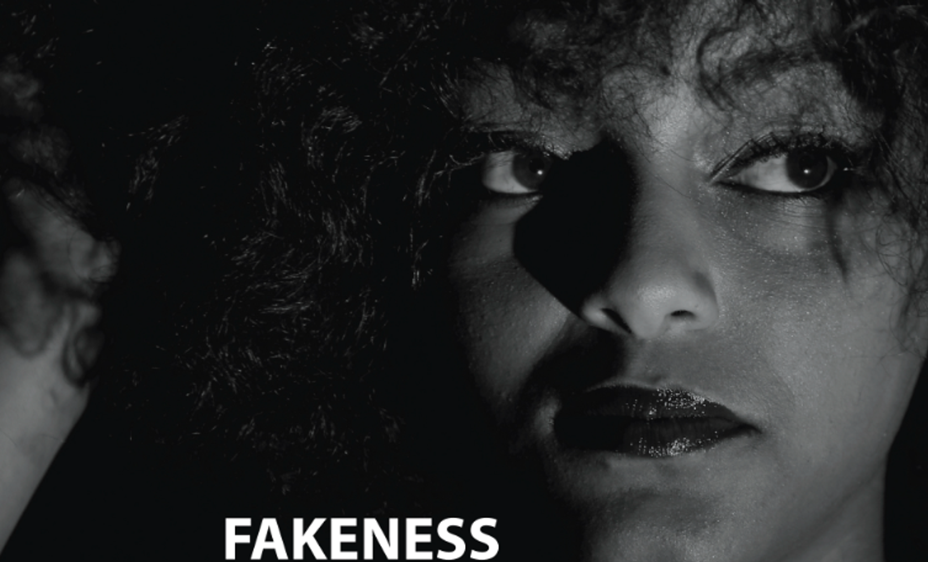 FAKENESS: The Cost of Disguise