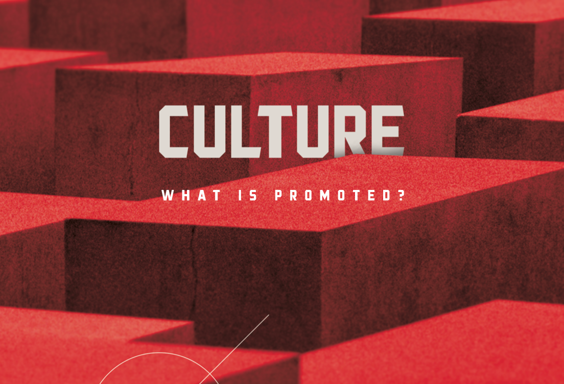 CULTURE WHAT IS PROMOTED?