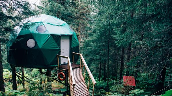 green dome near brown wooden dock near green leaved trees