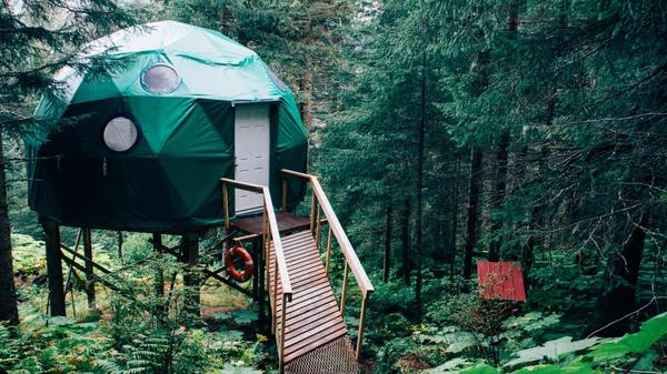 green dome near brown wooden dock near green leaved trees