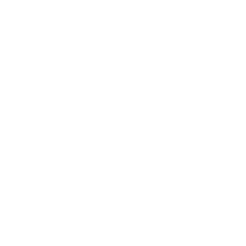 Next JS