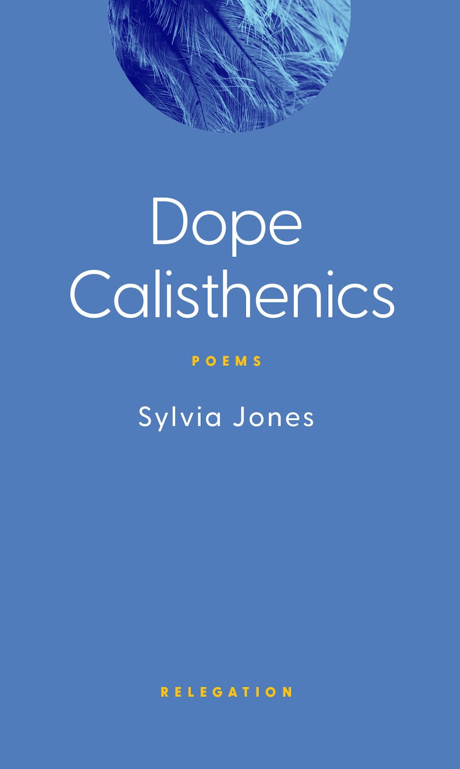 cover image of the book Dope Calisthenics