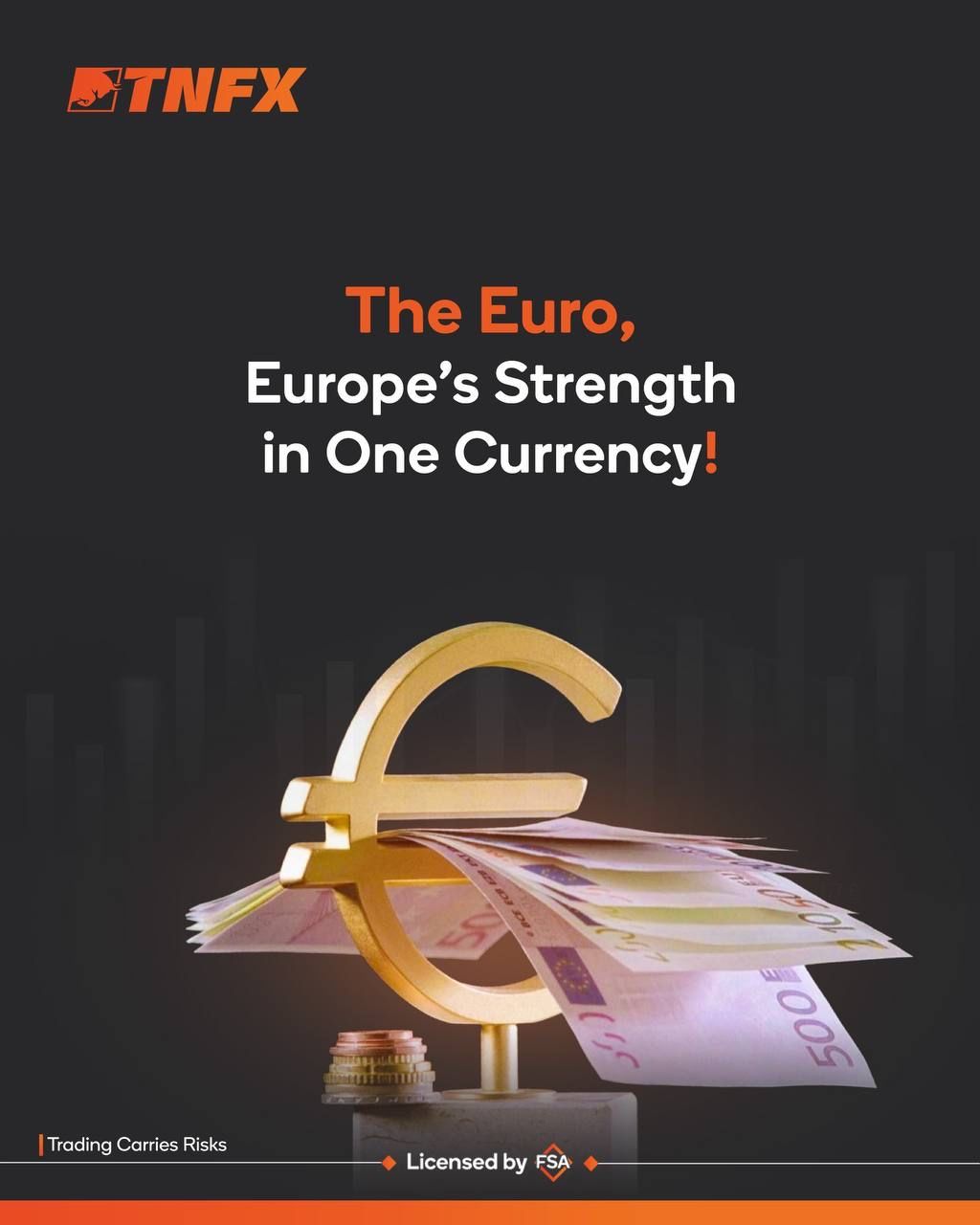 The Euro