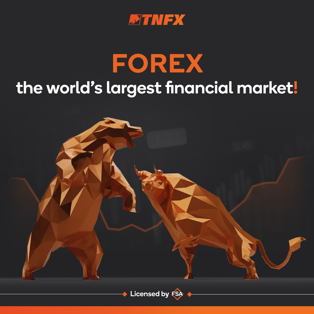 The forex market_TNFX