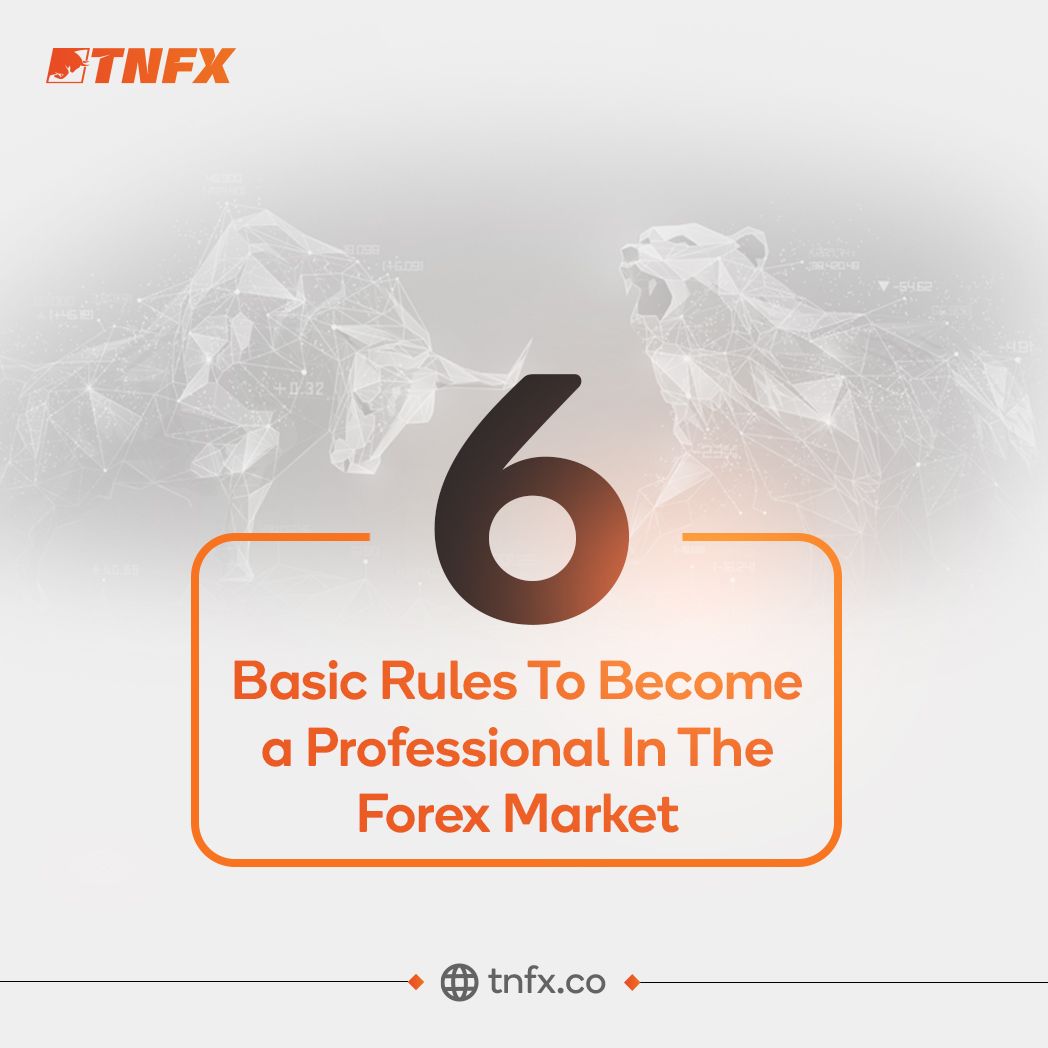 become-a-professional-in-the-forex-market