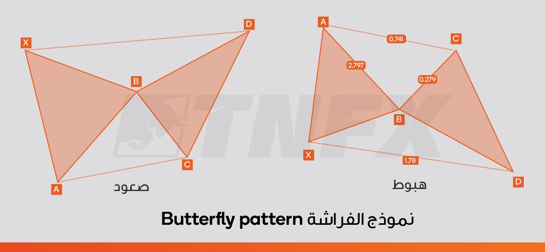 نموذج-الفراشة-Butterfly-pattern-1