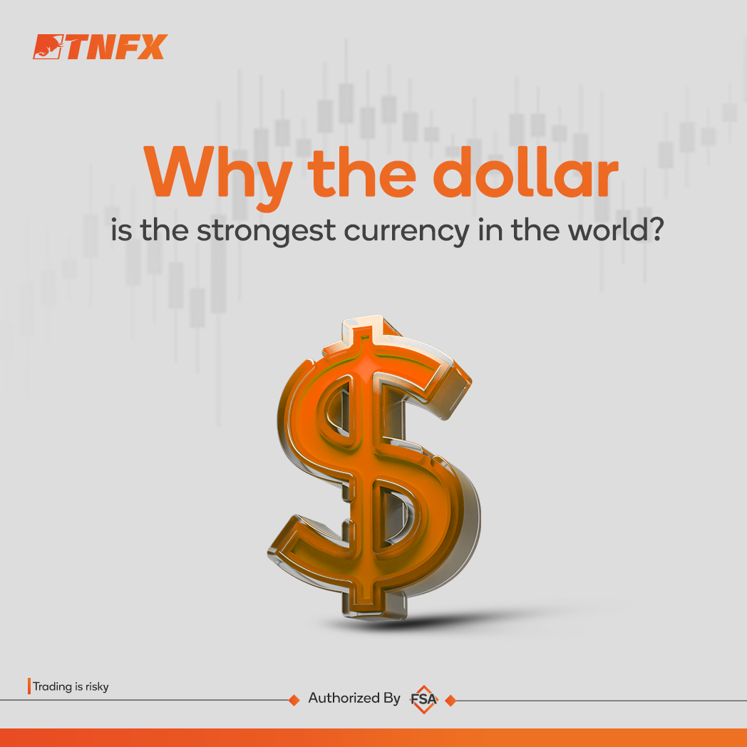 why the dollar is the strongest currency in the world