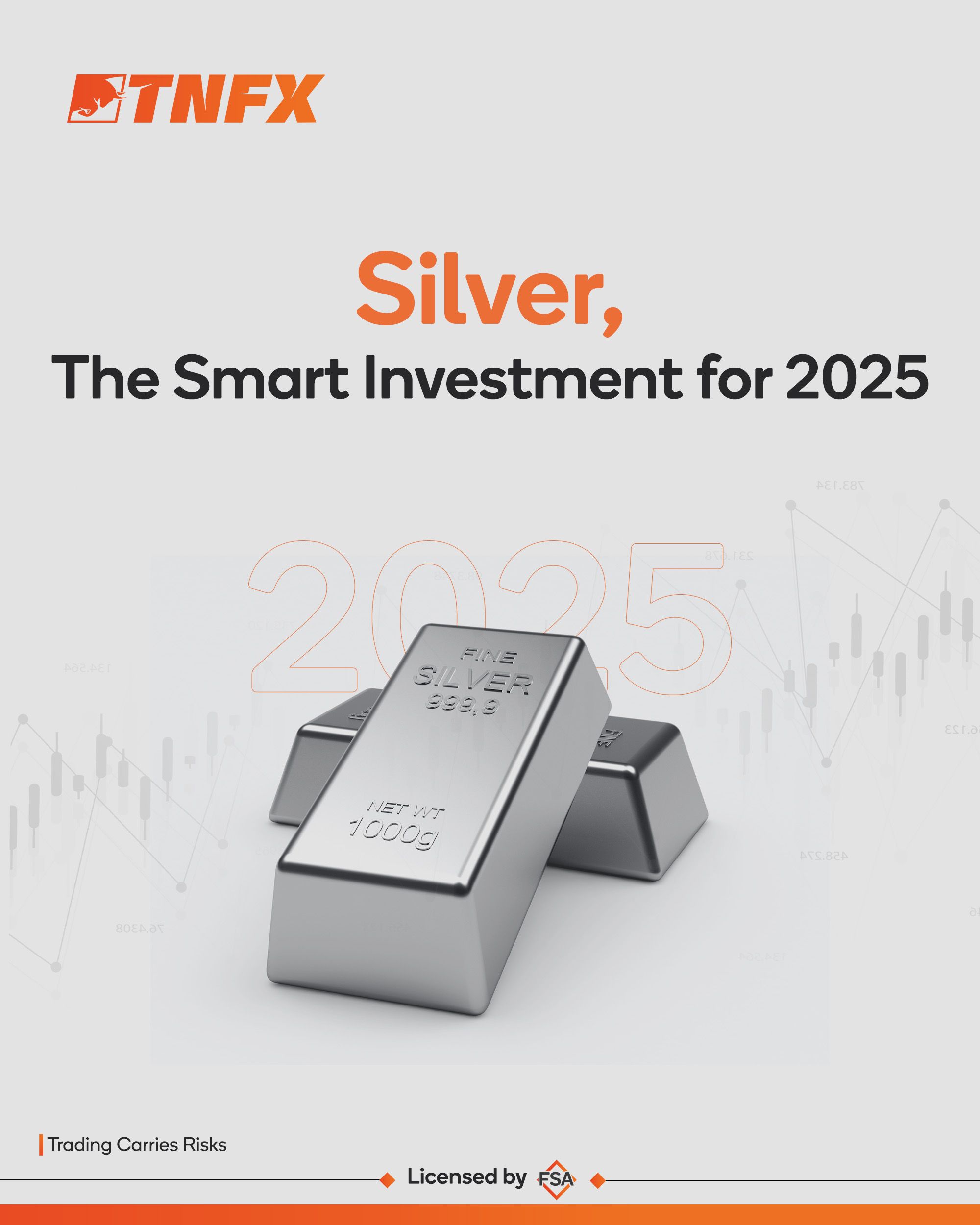 Why Should You Invest in Silver