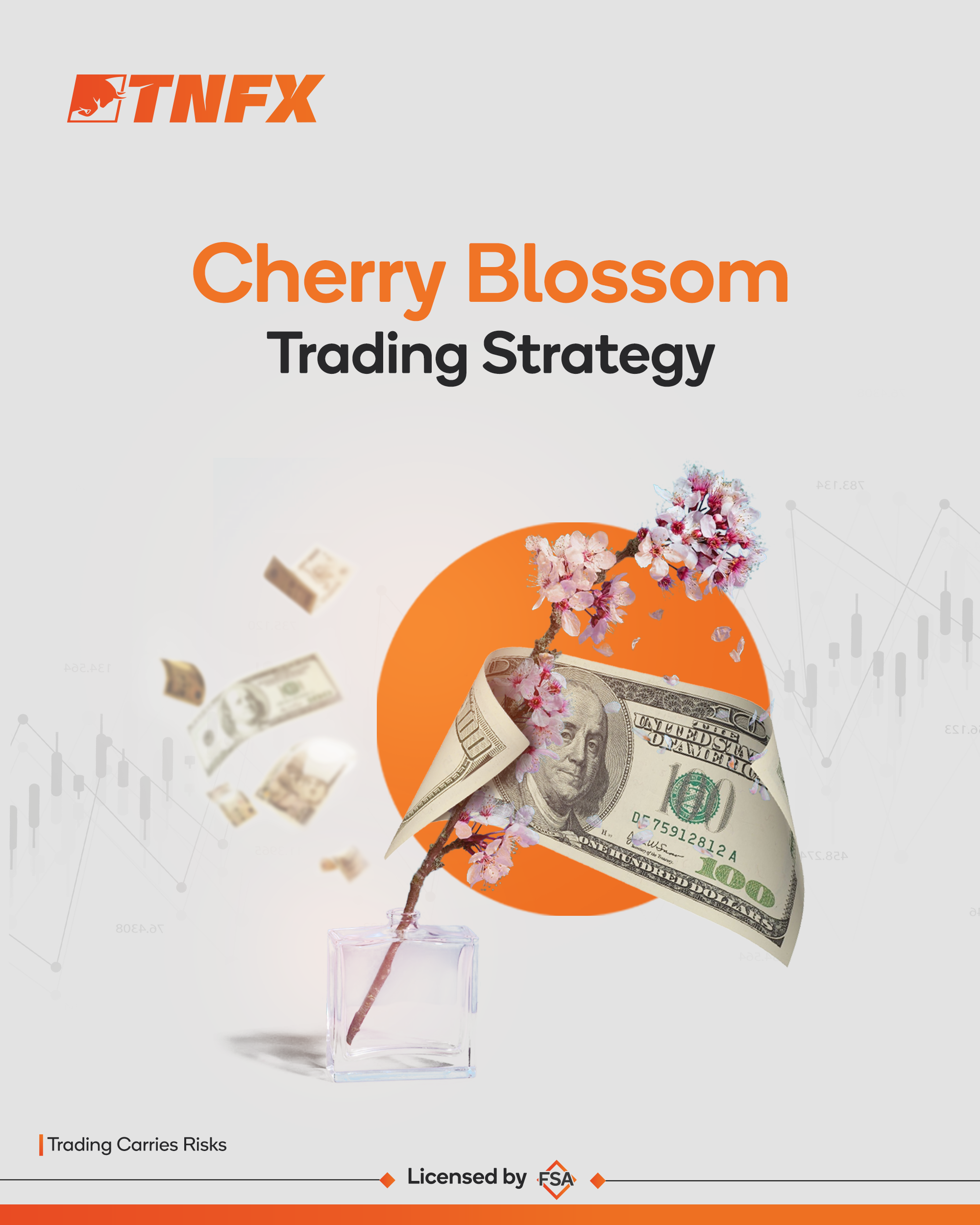 Cherry Blossom Trading Strategy_TNFX