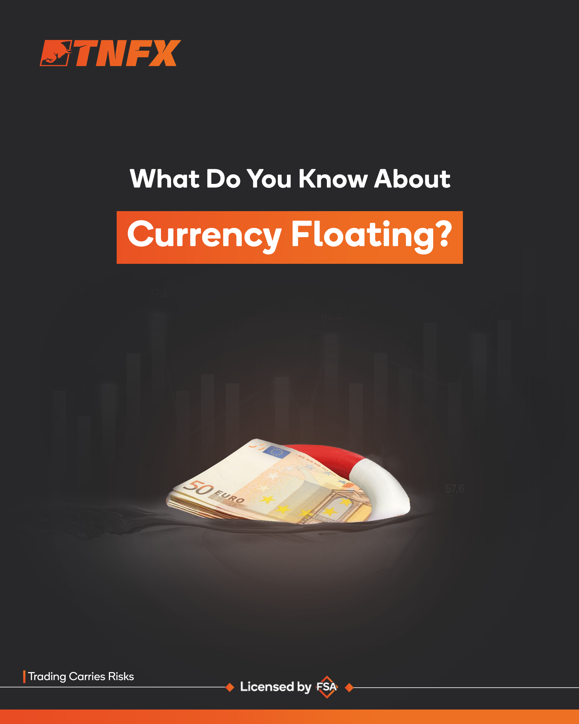 Currency Floating