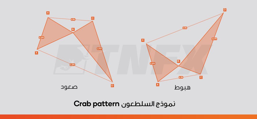 نموذج-السلطعون-Crab-pattern-1