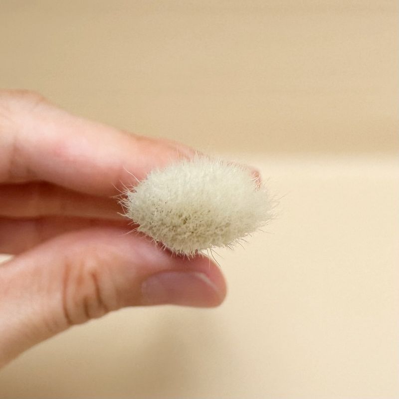 S305 Soft Blending Brush
แปรงผสมสีอายแชโดว - 7
