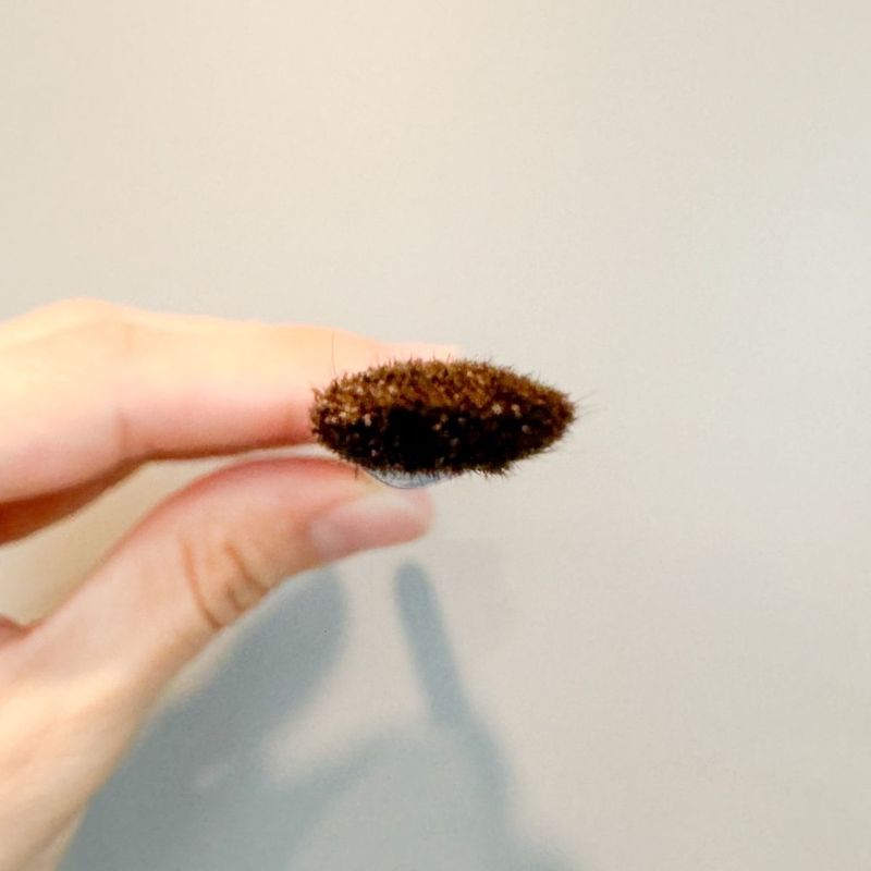 S210 Medium Eye Shadow Brush
แปรงแต่งตาขนาดกลาง - 5