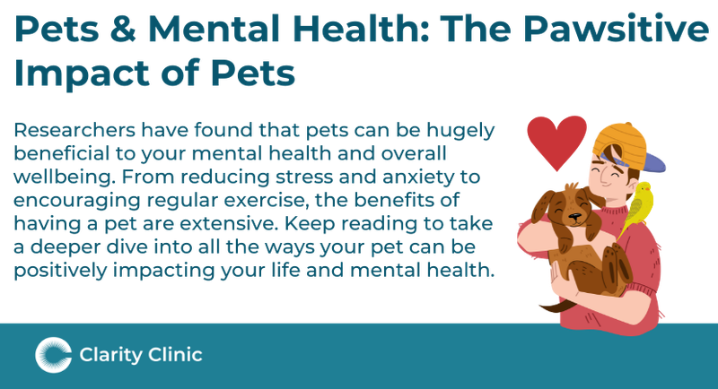 Pets & Mental Health | Clarity Clinic