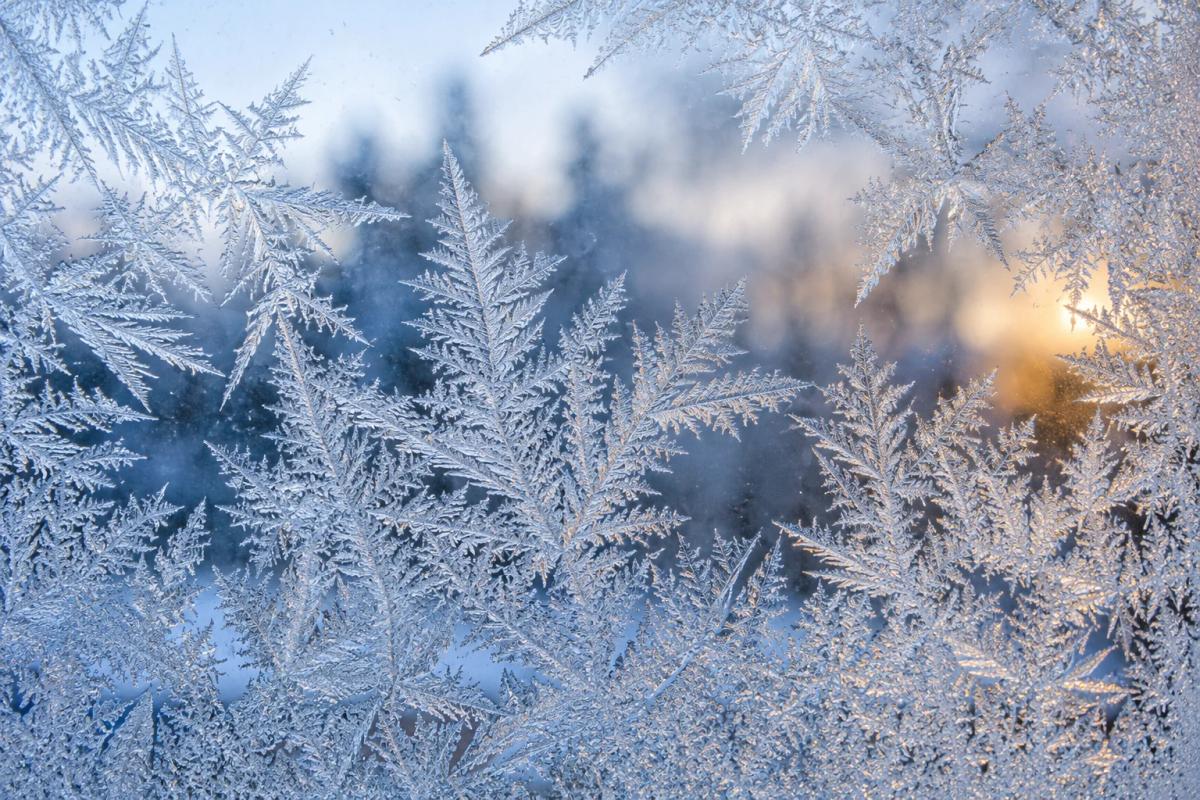 Dendritic ice crystals on a window in blue-white light