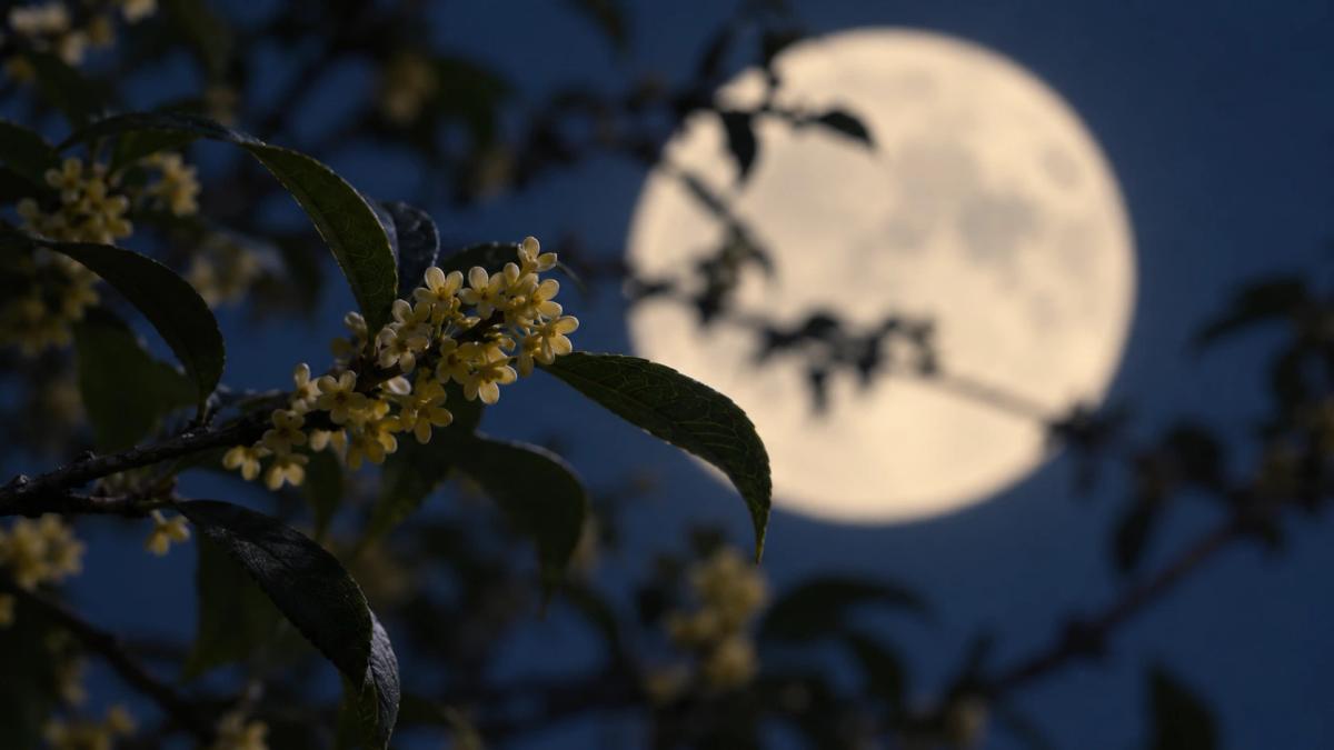 mid autumn image prompts