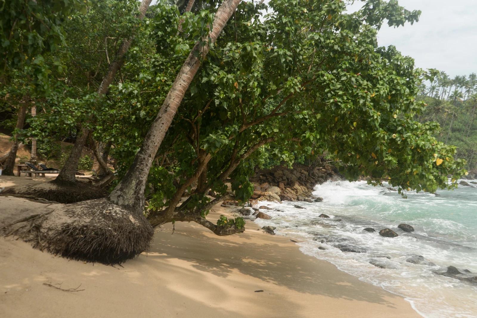 Secret Beach Mirissa