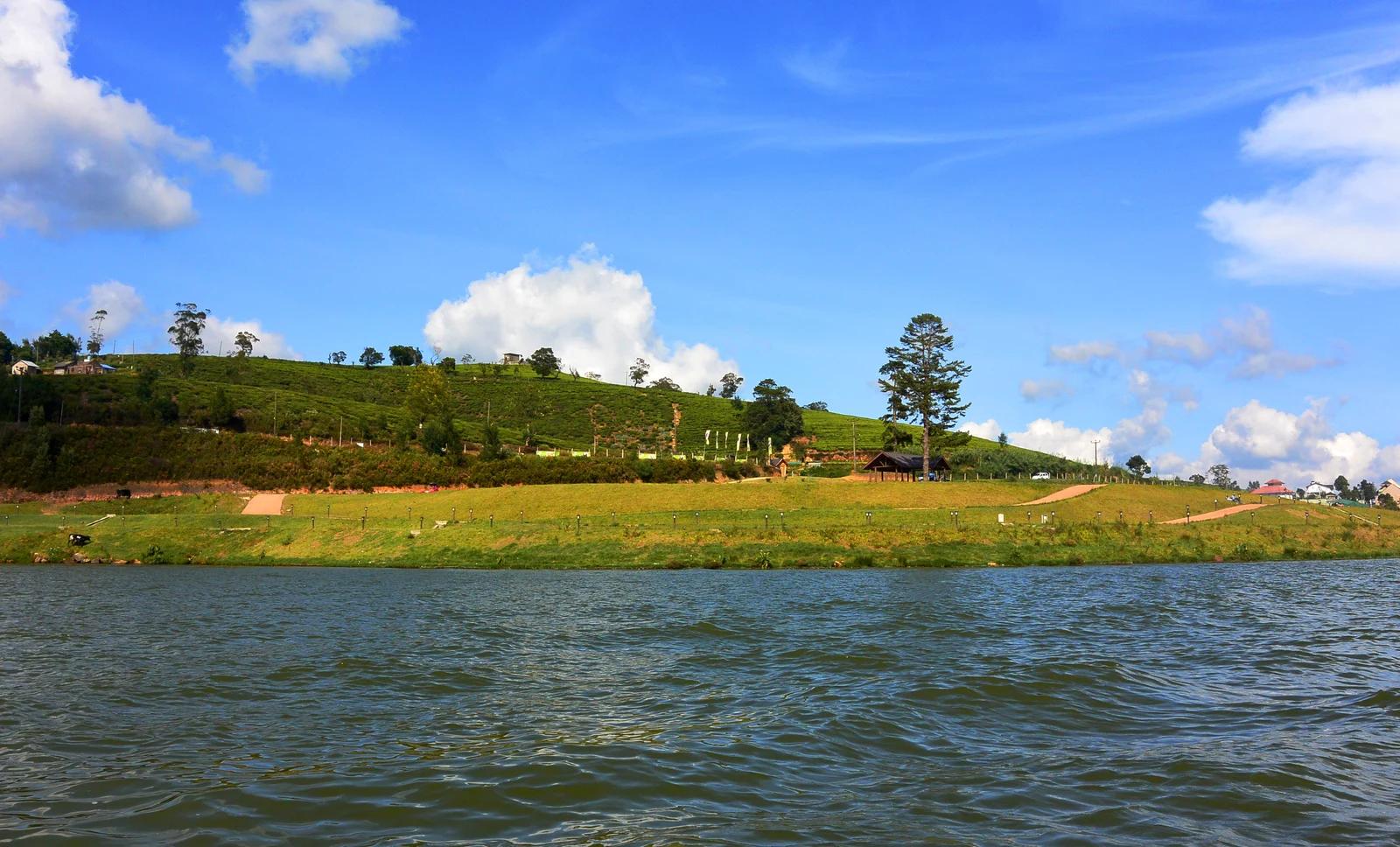 Gregory Lake