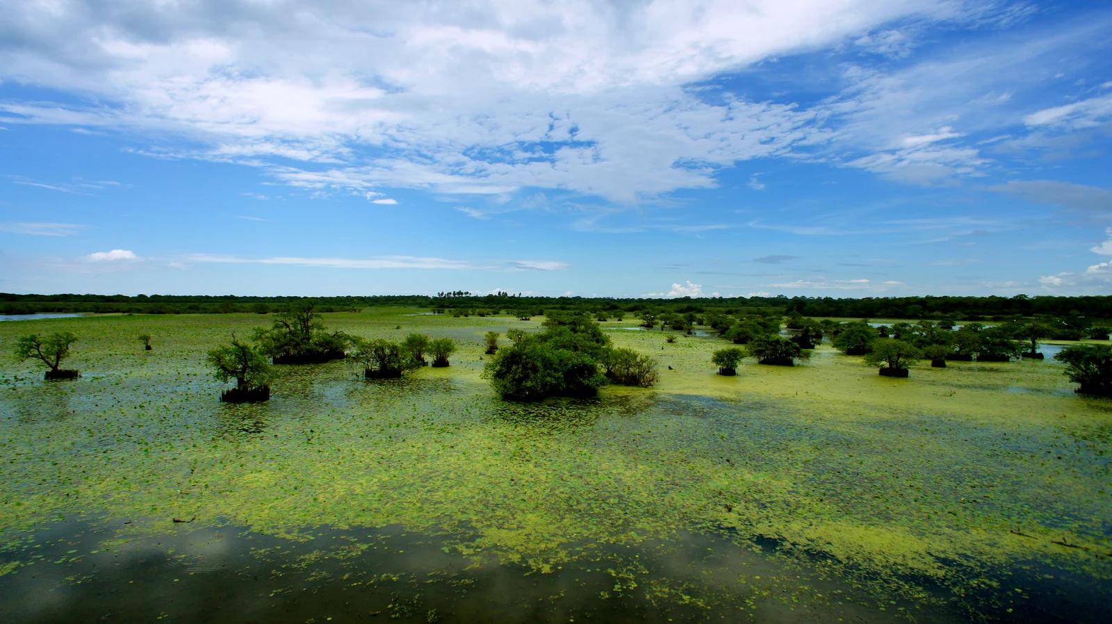 Kumana National Park