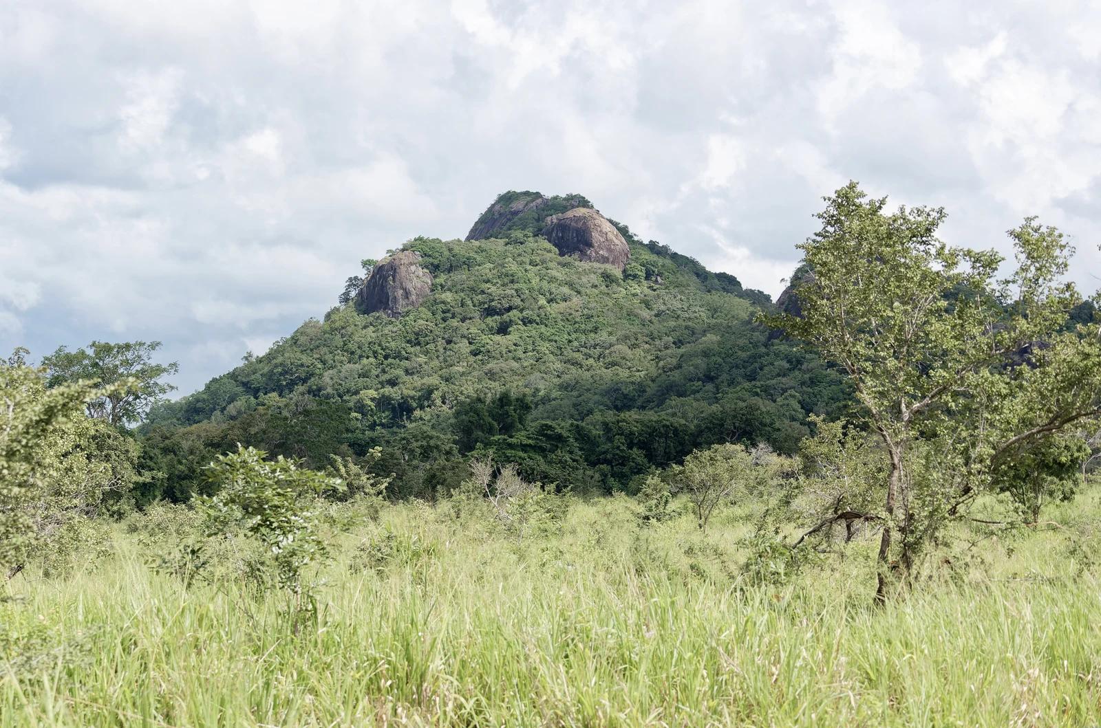 Hurulu Forest Reserve / Eco Park