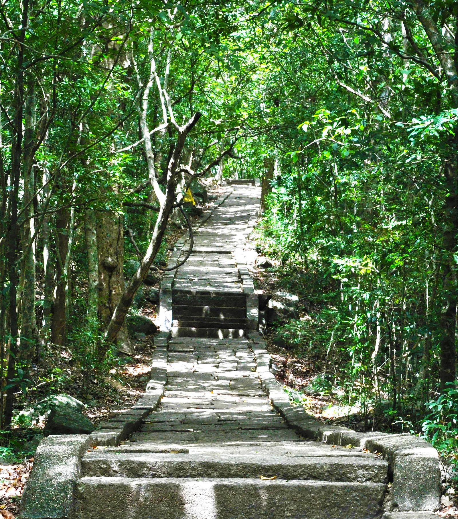 Ritigala Forest Monastery