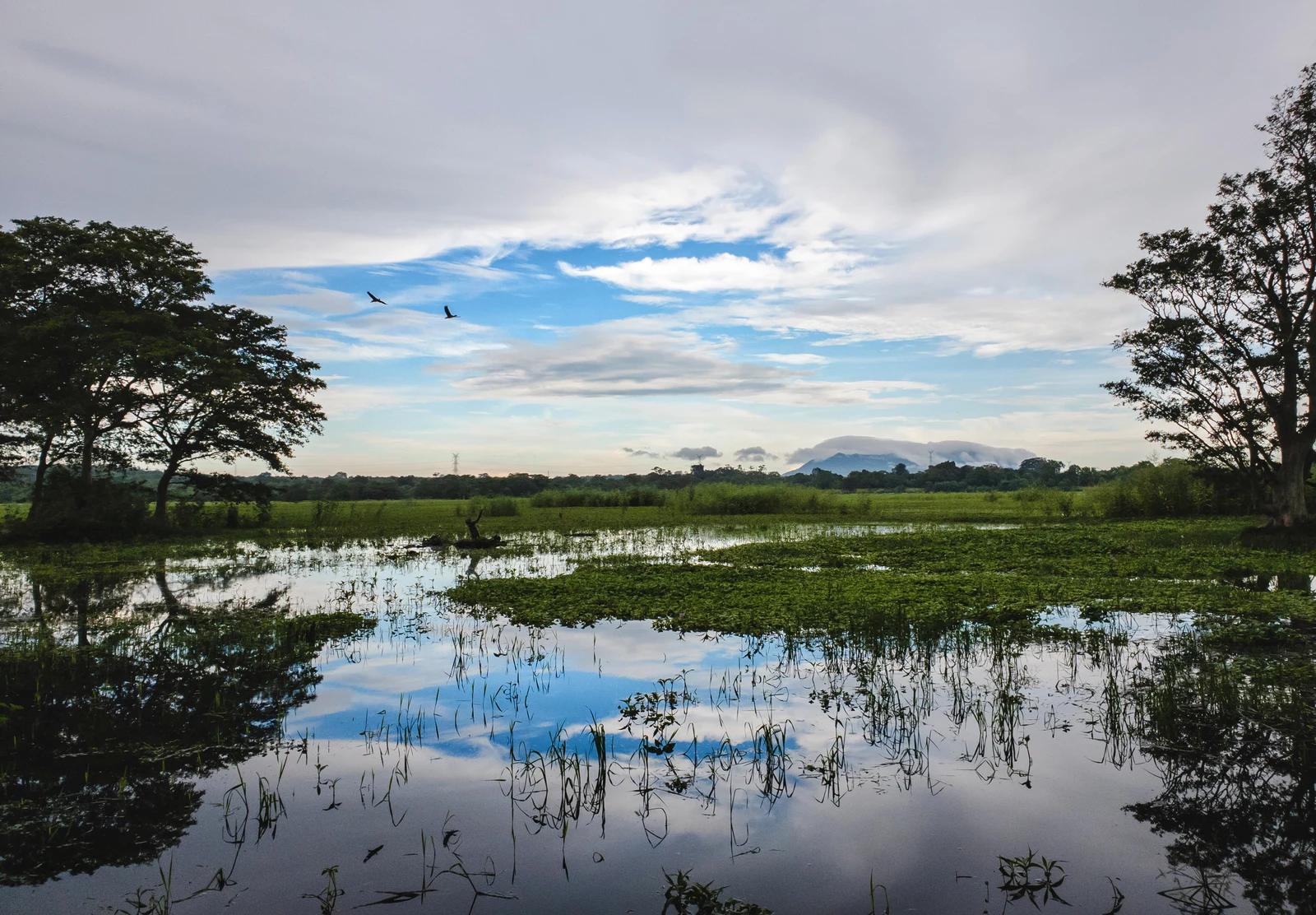 Habarana Lake