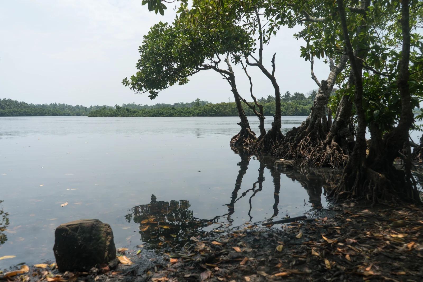 Garanduwa Lagoon
