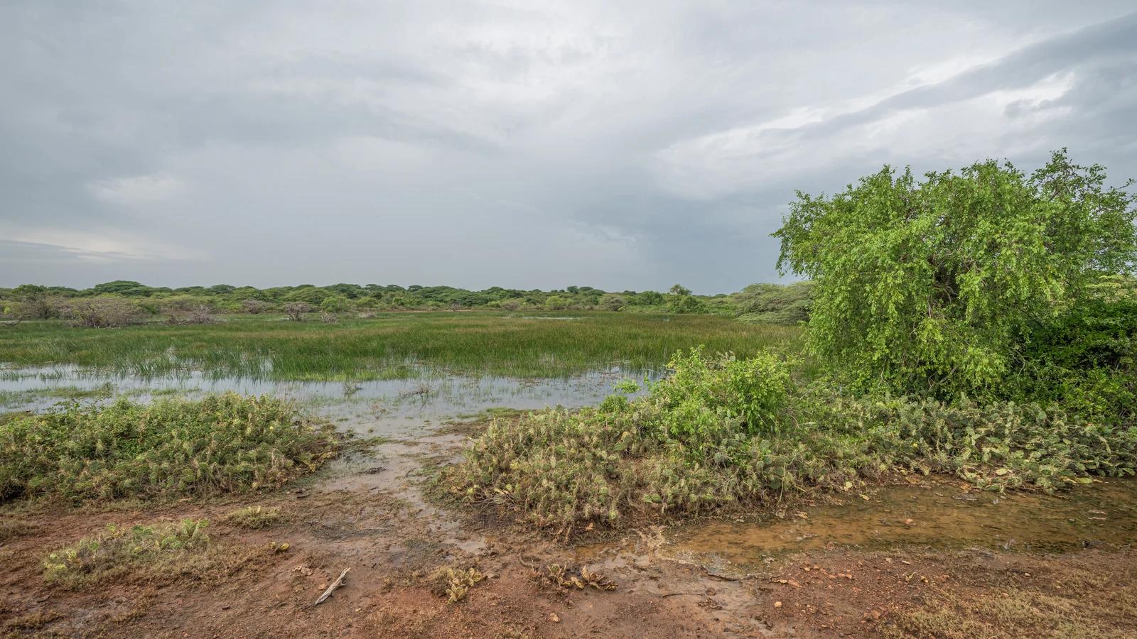 Bundala National Park