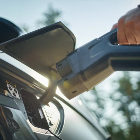 Curious About Electric?