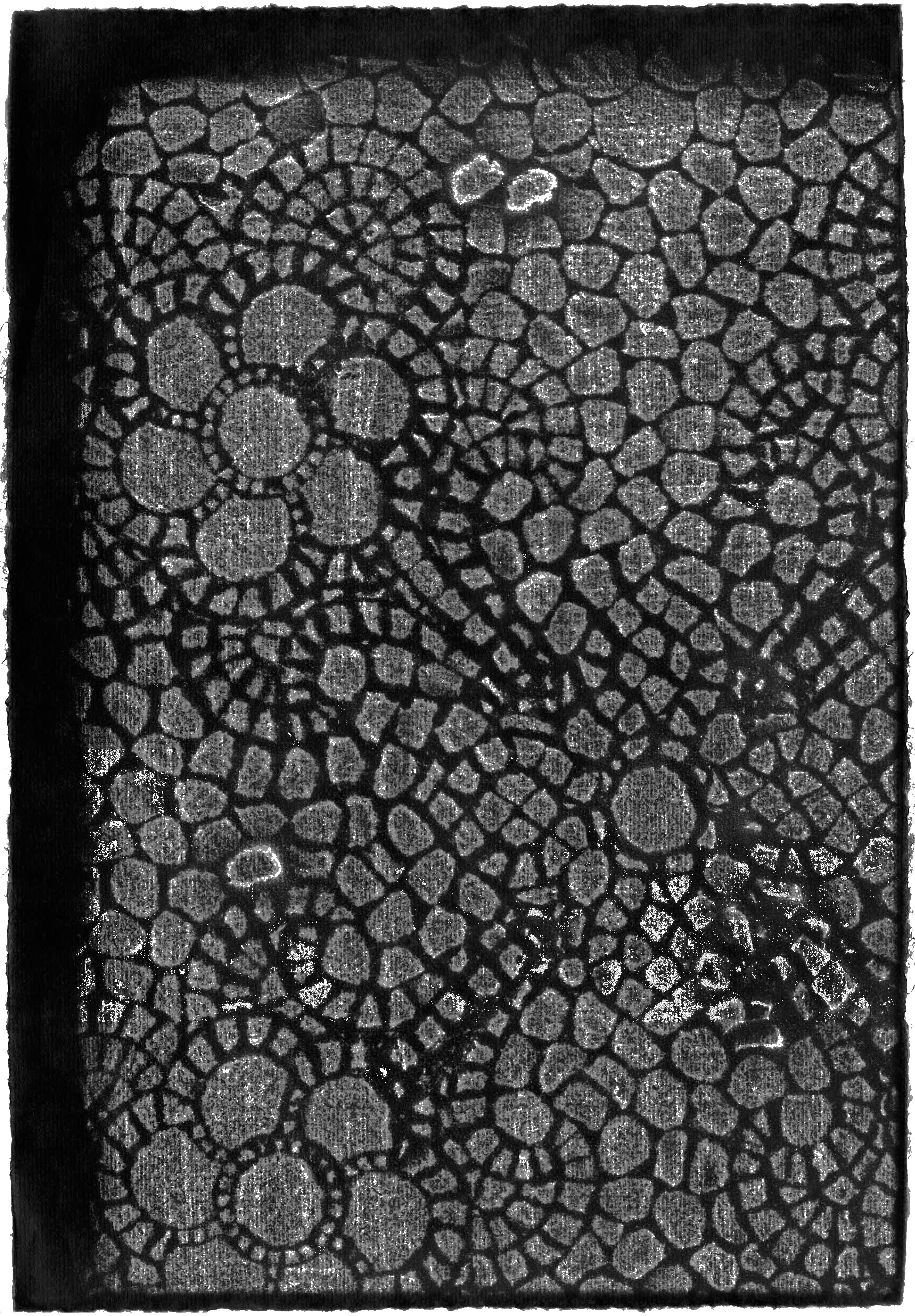 An etching of the bank's original mosaic tiles