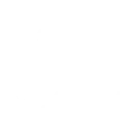 Icon of two Pills signifying the use of FDA-Regulated Pharmaceuticals