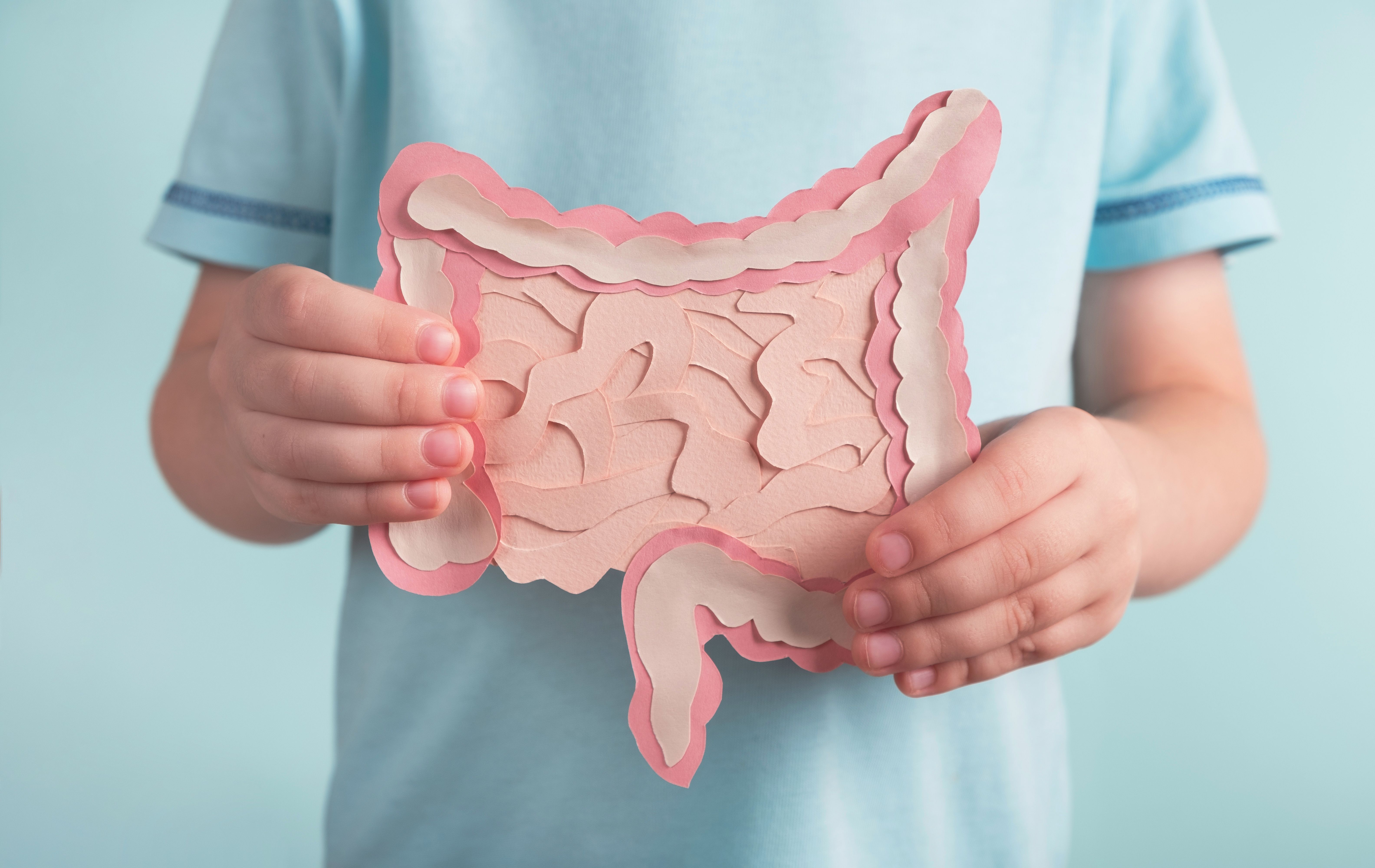 a person from the neck down holding a paper cut out depiction of the large and small intestines wearing a blue shirt on a blue background.