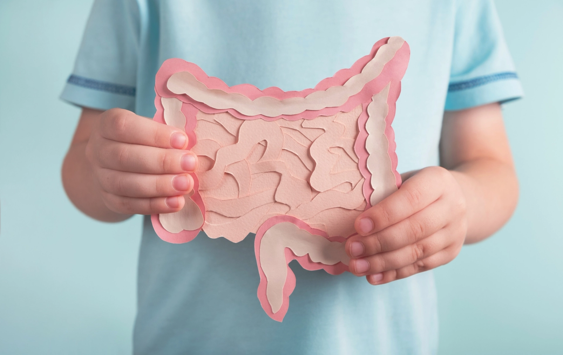 a person from the neck down holding a paper cut out depiction of the large and small intestines wearing a blue shirt on a blue background.