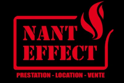 Logo Nantes effect