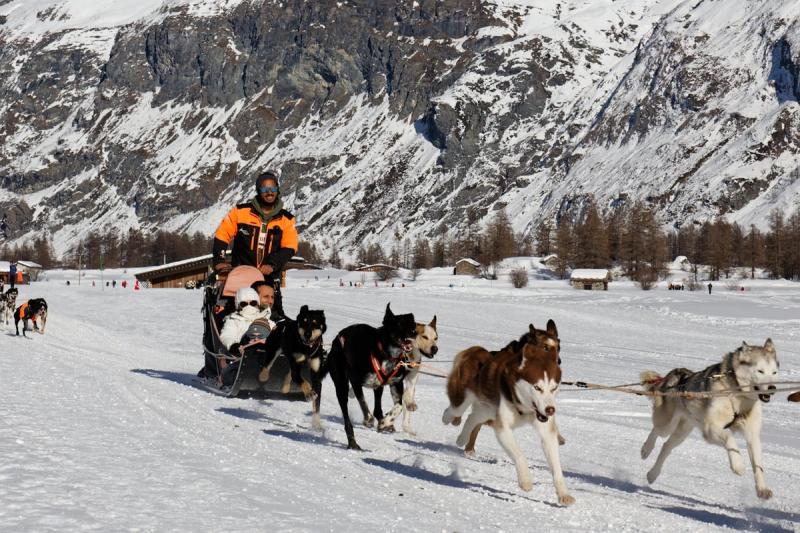 Immagine partenza: Lapponia
