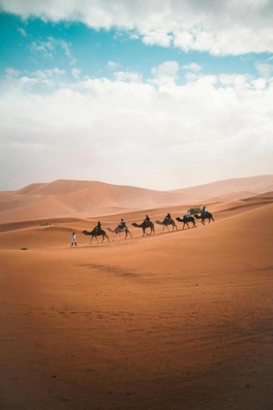 immagine destinazione : Fuga nel deserto