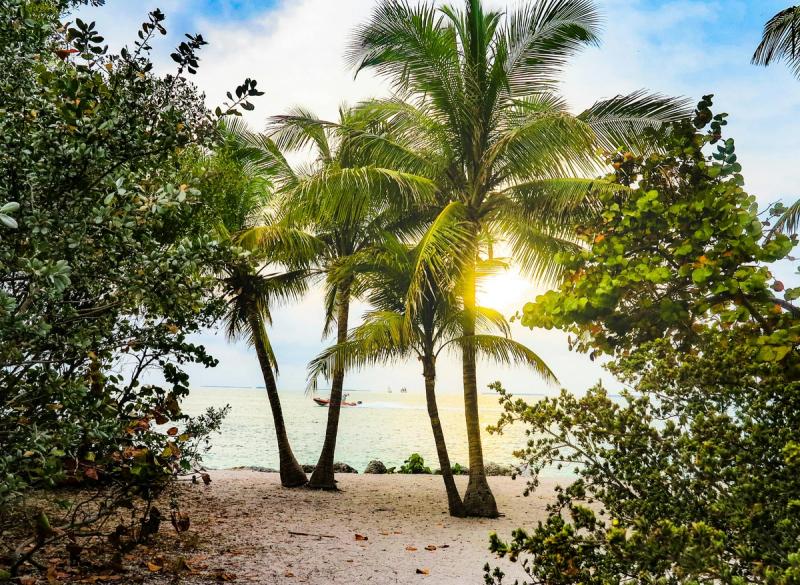 immagine destinazione : Florida