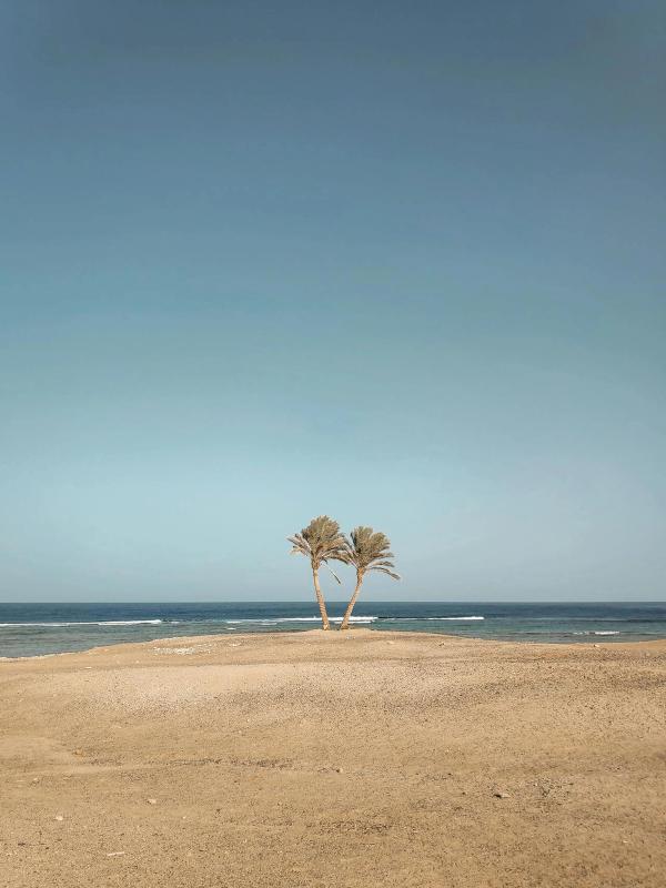 Immagine partenza: Capodanno Marsa Alam + Il Cairo