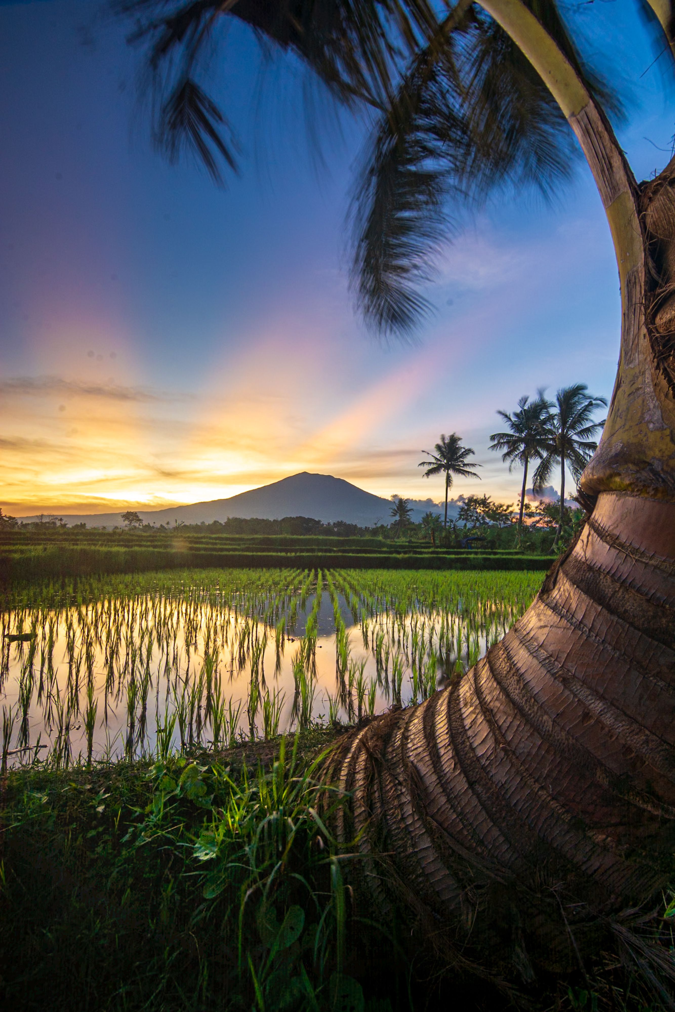 Page hero image - travel