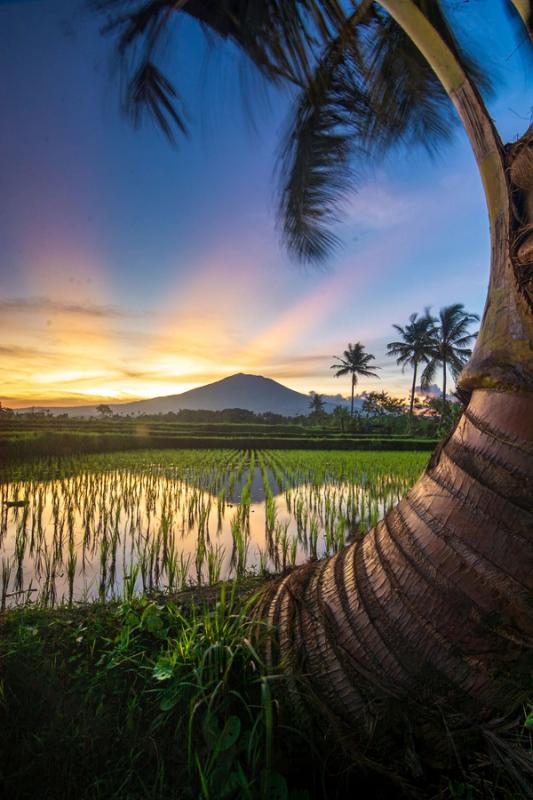 Immagine partenza: INDONESIA + SINGAPORE - SOLO VOLO
