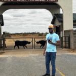 Immagine referente: Libero