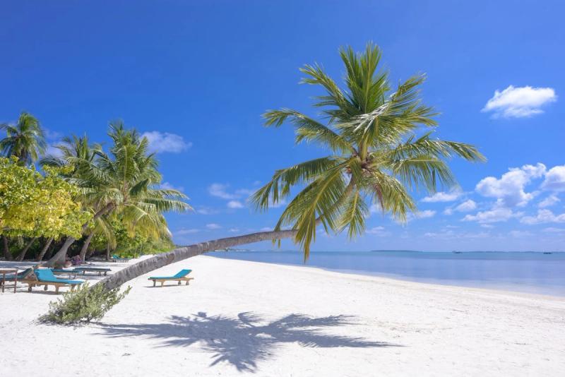 Immagine partenza: DOHA + MALDIVE