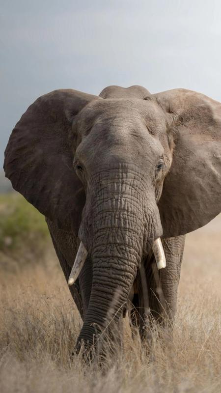 immagine destinazione : SUD AFRICA