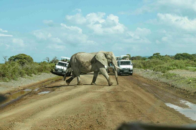 Immagine partenza: CAPODANNO IN KENYA - SAFARI + MARE