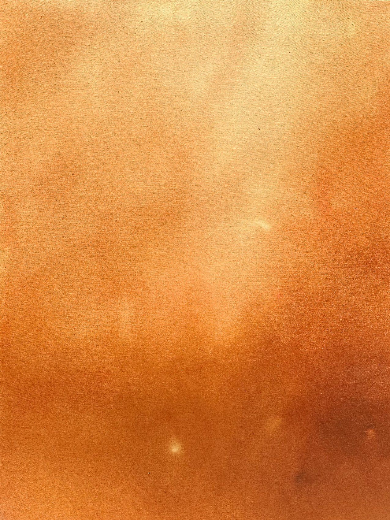 Dust and Ochre by Mary Pye