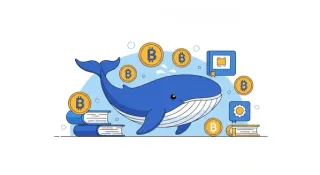 Qué es Whale Ballena Cripto: definición y su impacto