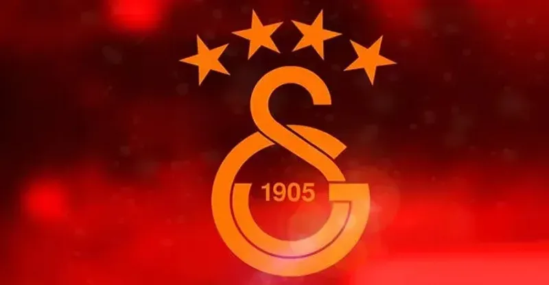 GAL粉丝代币全解析：功能、投票互动与价值前景