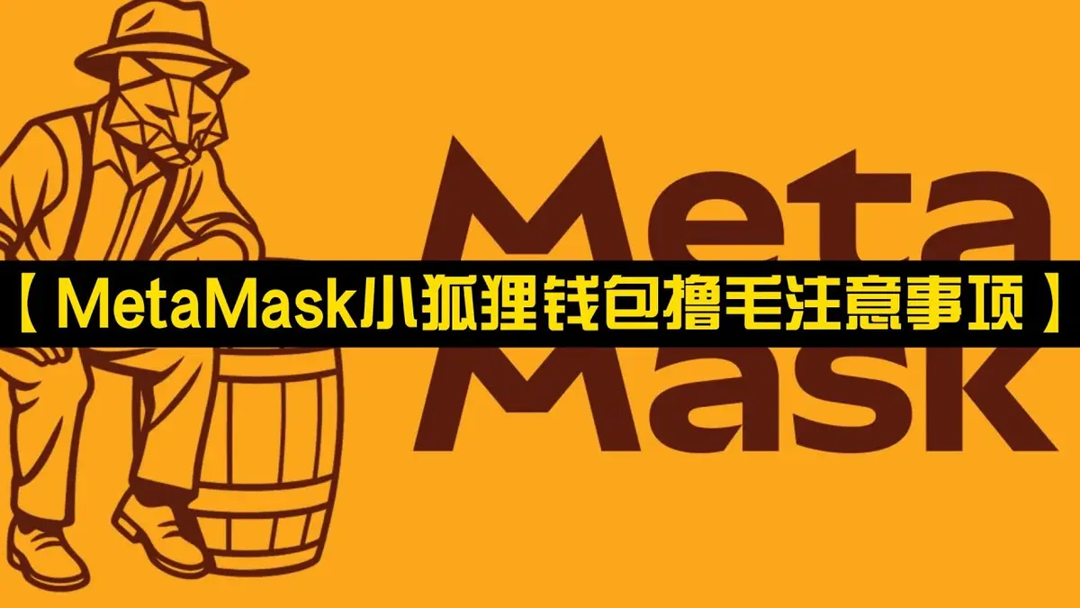 2024 MetaMask 小狐狸錢包安全指南：防詐騙與資產保護要點