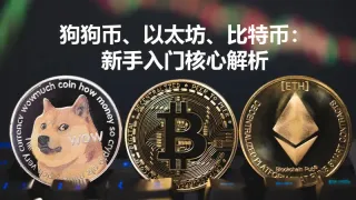 比特币、以太坊、狗狗币新手快速区分指南：核心定位与选币风险