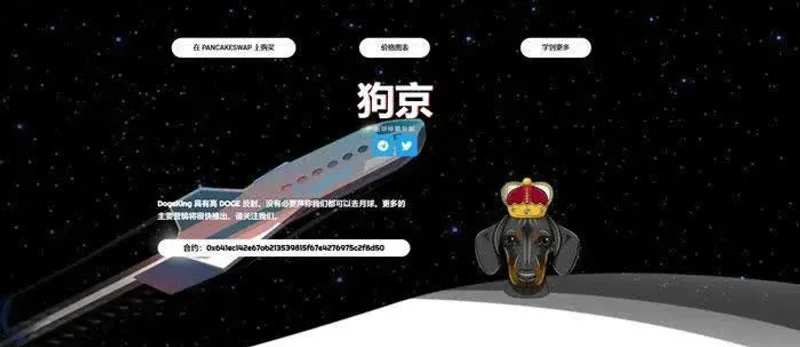 DOGEKING币总发行量揭秘：10万亿枚背后的供应结构与短期行情分析